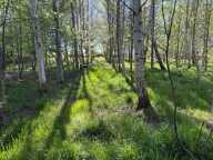 Terrain de loisirs — photo 4