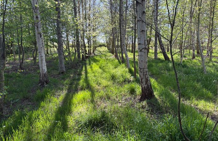 Terrain de loisirs — photo 4