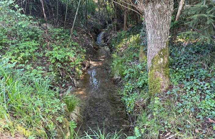 Terrain de loisirs — photo 5