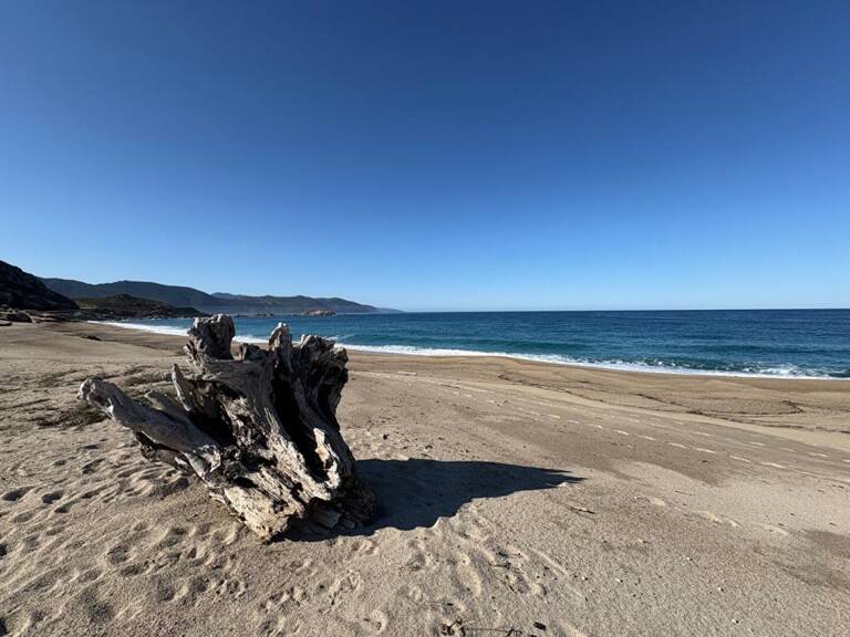 MAISON SUR LA PLAGE DU LIAMONE ! — photo 1