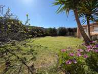 MAISON SUR LA PLAGE DU LIAMONE ! — photo 2