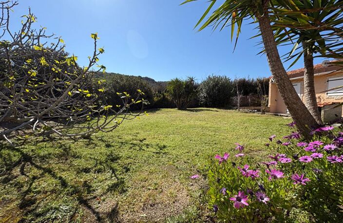 MAISON SUR LA PLAGE DU LIAMONE ! — photo 2