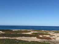 MAISON SUR LA PLAGE DU LIAMONE ! — photo 3