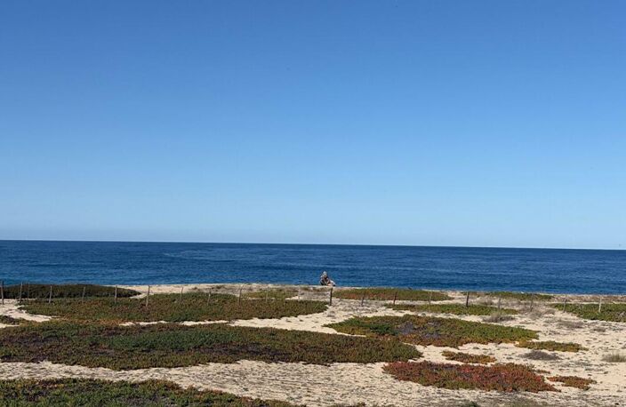 MAISON SUR LA PLAGE DU LIAMONE ! — photo 3