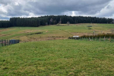 Terrain  45000 €