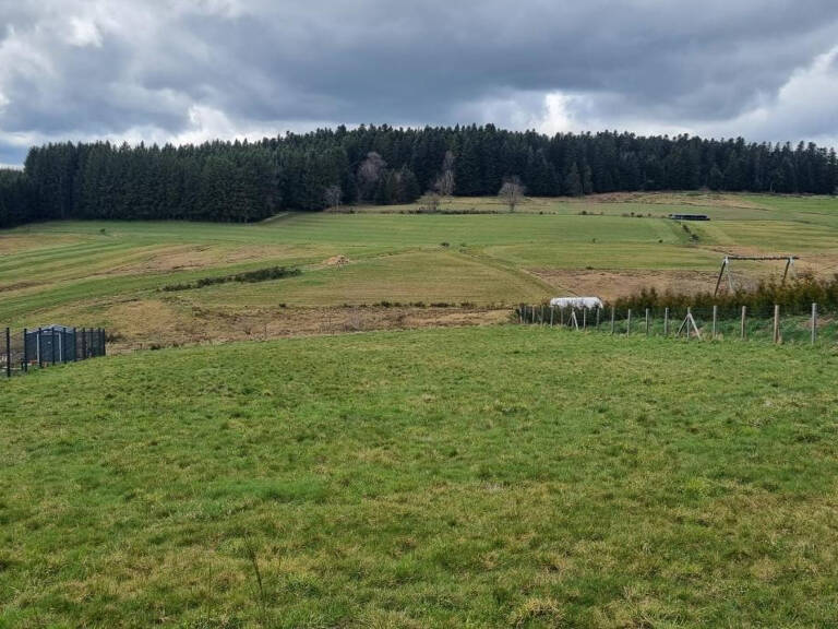 Entre Marlhes 42660 et Riotord 43220 Terrain constructible viabilisé1506m² — photo 1