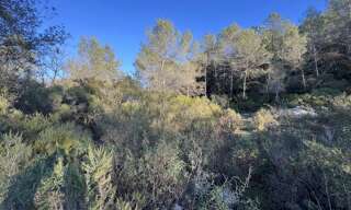 Terrain  1050 m² à vendre à Roquefort-les-Pins (06330)