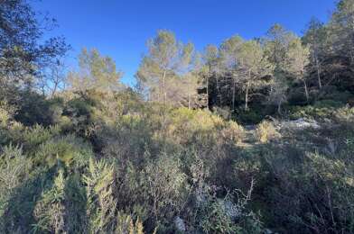 Terrain  27500 €