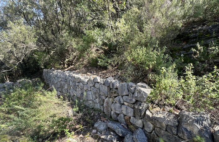 TERRAIN VÉGÉTALISÉ - ROQUEFORT-LES-PINS — photo 3