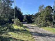 TERRAIN VÉGÉTALISÉ - ROQUEFORT-LES-PINS — photo 4