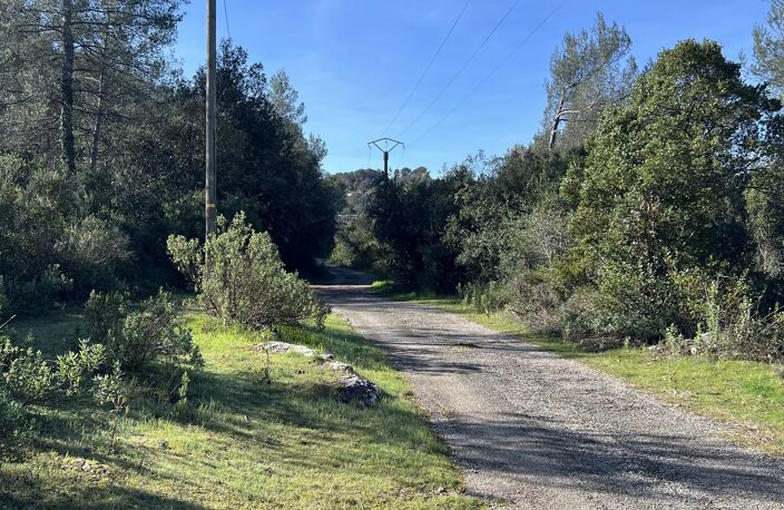 TERRAIN VÉGÉTALISÉ - ROQUEFORT-LES-PINS — photo 4