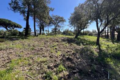 Terrain  980000 €