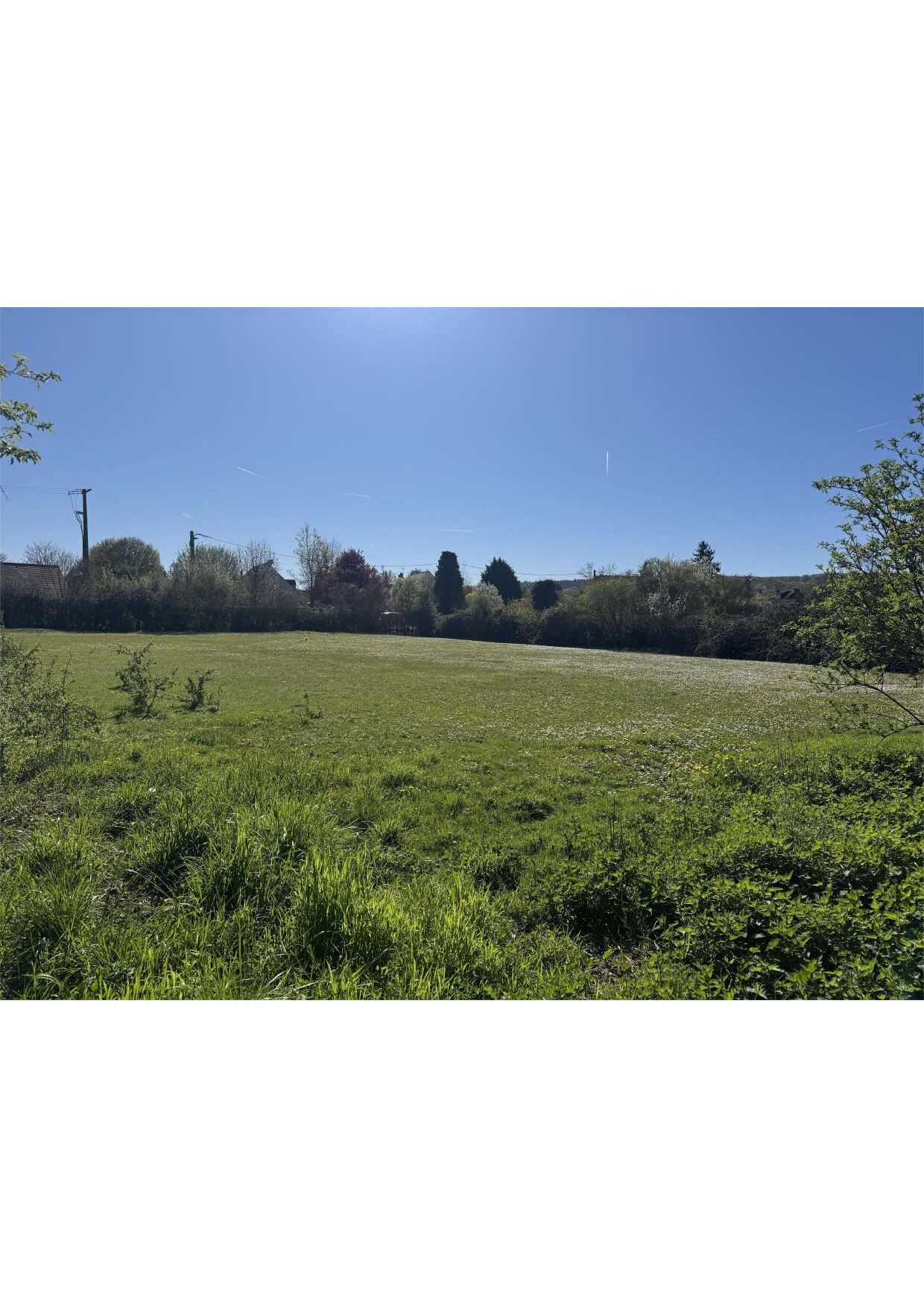 Agence immobilière de Maison confiance