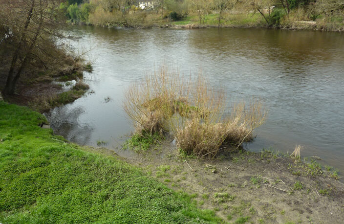   — photo 3