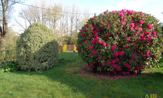 Photo N° 2