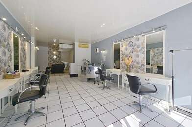 Commerce 3 pièces 49500 €