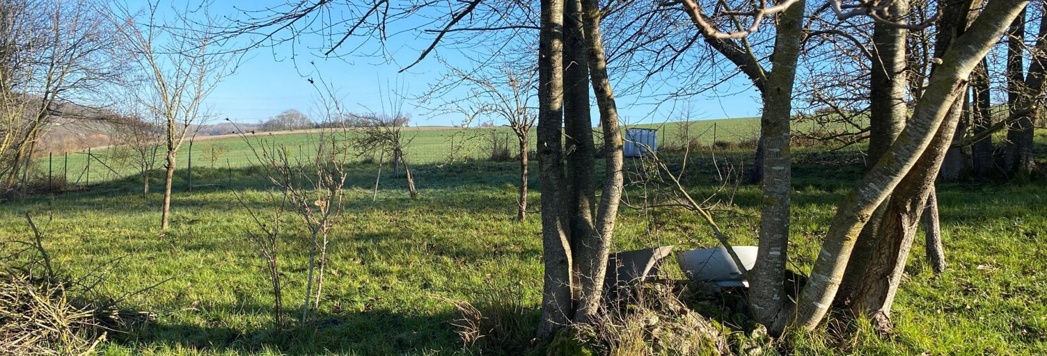 Terrain  581 m² à vendre à Charly-sur-Marne (02310)