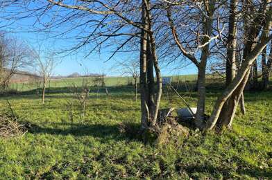Terrain  55000 €
