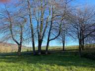 Terrain constructible - Plain pied possible — photo 3
