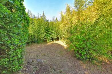 Maison 10 pièces 250000 €