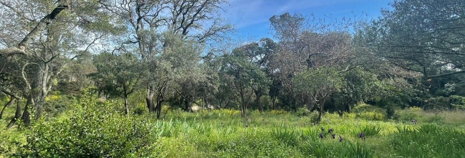 Terrain  856 m² à vendre à Villeneuve-lès-Avignon (30400)