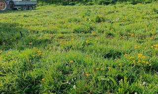 Terrain  465 m² à vendre à Saint-Jean-d'Elle (50810)