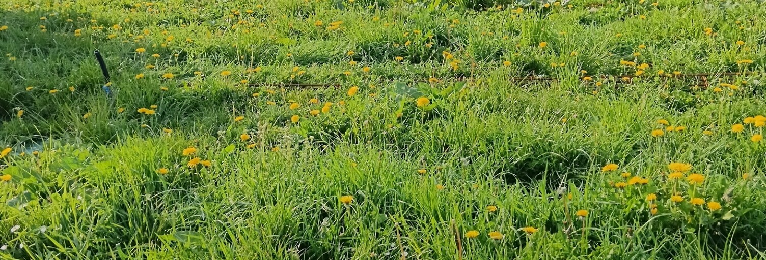 Terrain  465 m² à vendre à Saint-Jean-d'Elle (50810)