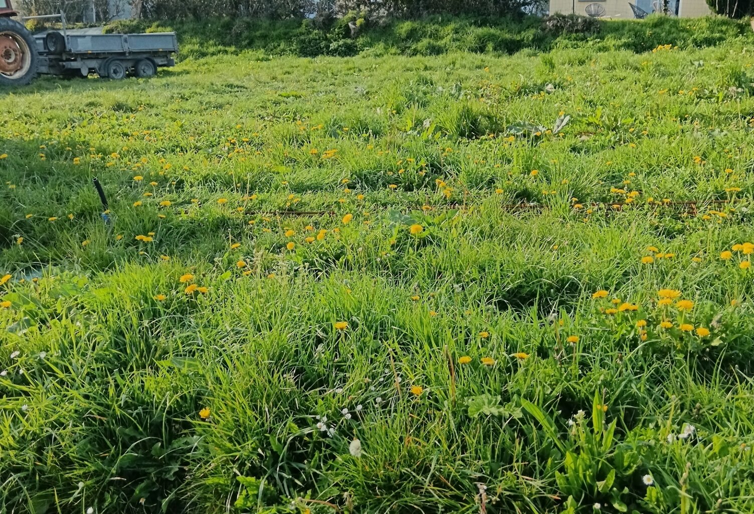 Vente Terrain à bâtir 465 m&sup2; — photo 1