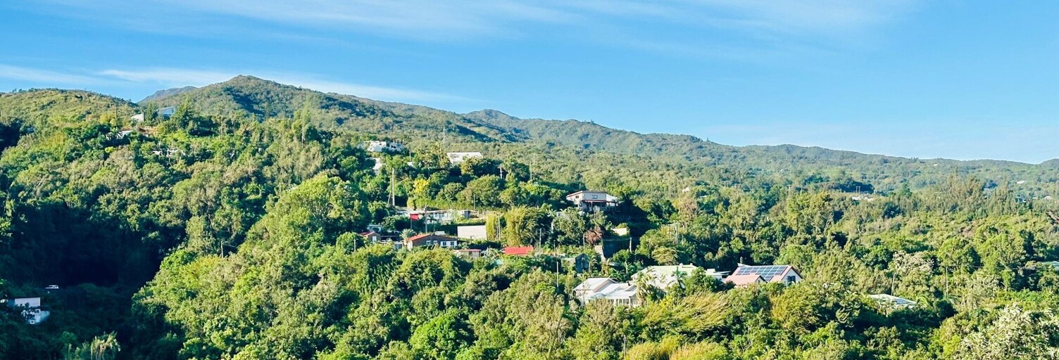 Maison 10 Pièces 153 m² à vendre à Saint-Denis (97400)