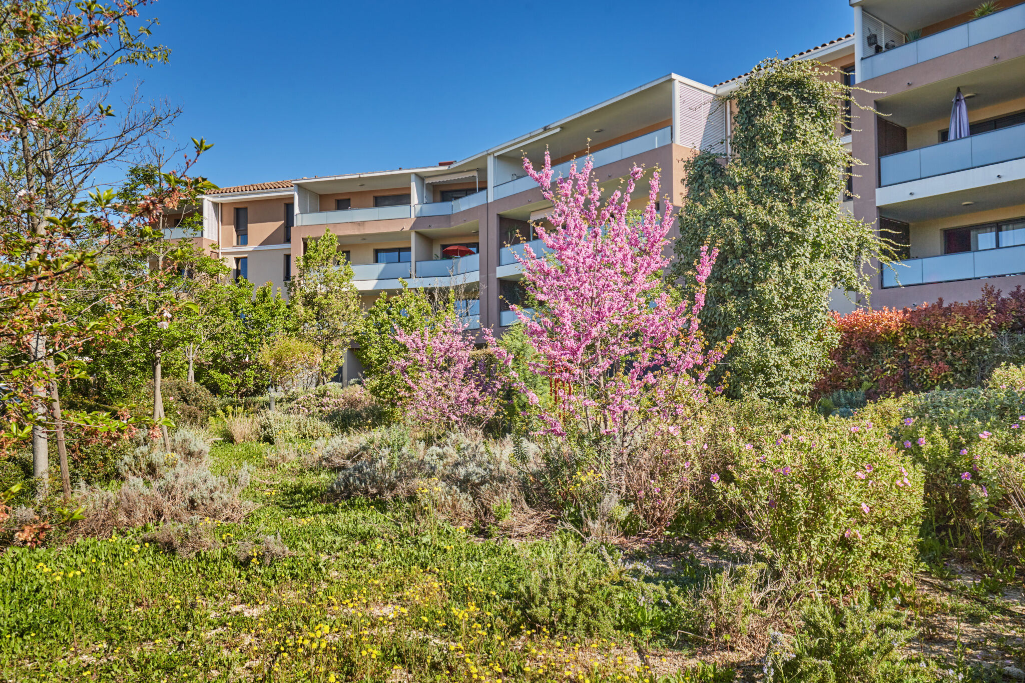 Appartement  T3 à vendre Aix-en-Provence 13090