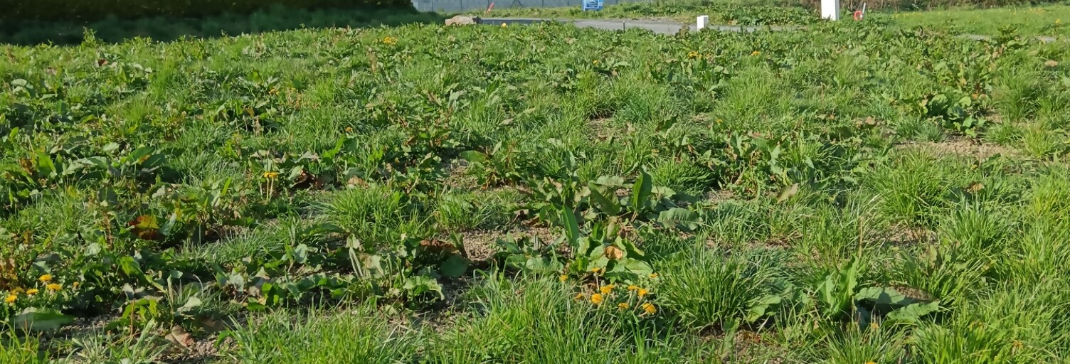 Terrain  475 m² à vendre à Saint-Jean-d'Elle (50810)