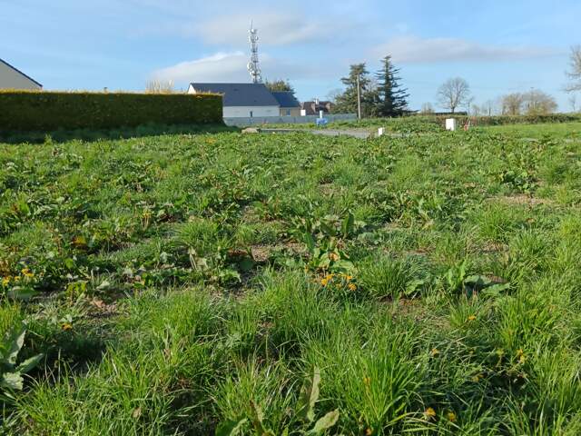 Vente Terrain à bâtir 475 m&sup2; — photo du bien