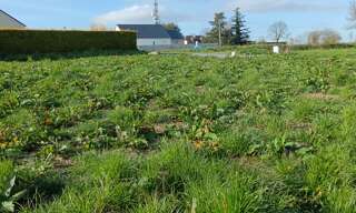 Terrain  550 m² à vendre à Saint-Jean-d'Elle (50810)