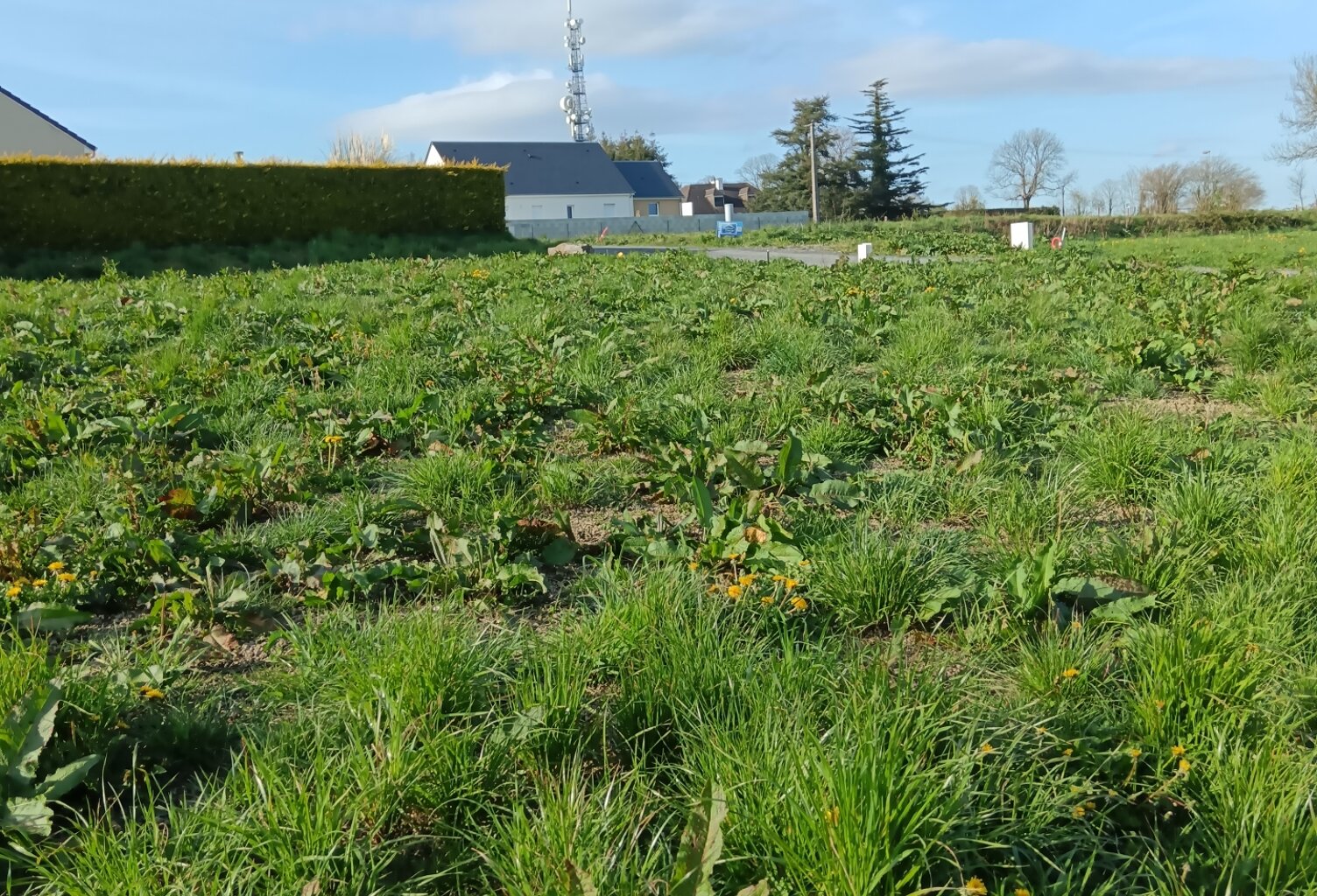Vente Terrain à bâtir 550 m&sup2; — photo 1