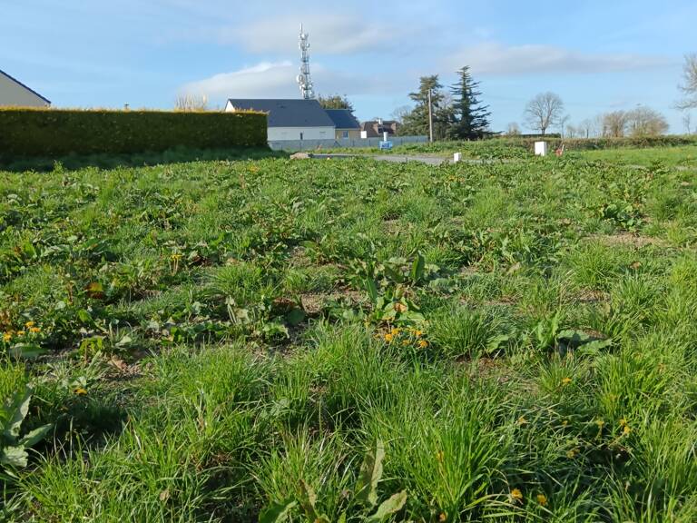 Vente Terrain à bâtir 550 m&sup2; — photo 1