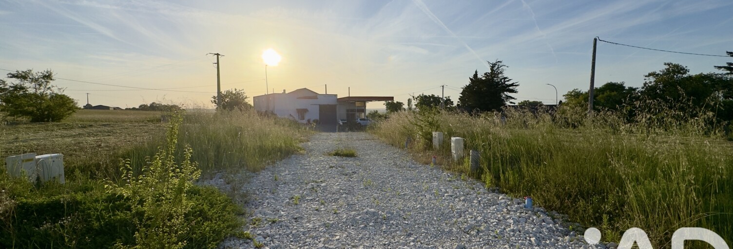 Photo N° 2