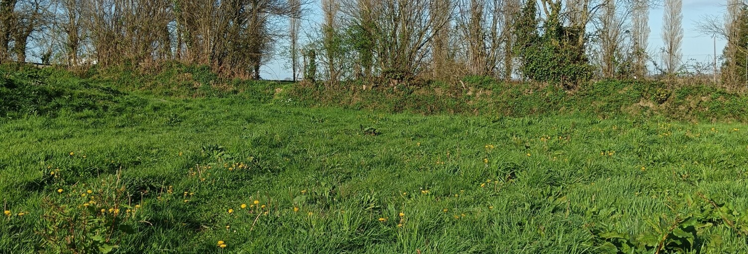 Terrain  582 m² à vendre à Saint-Jean-d'Elle (50810)