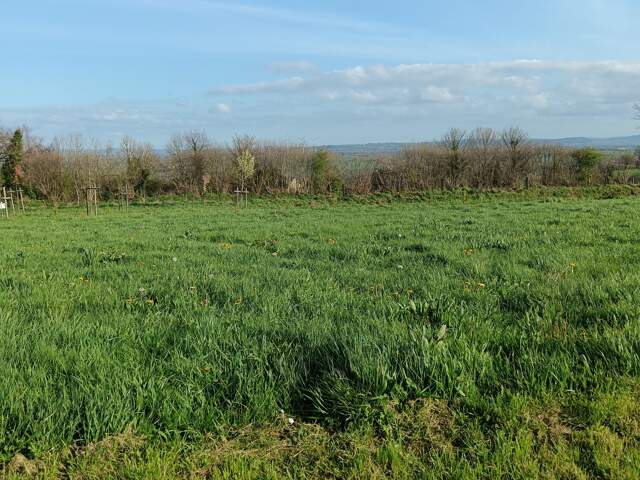 Vente Terrain à bâtir 583 m&sup2; — photo du bien