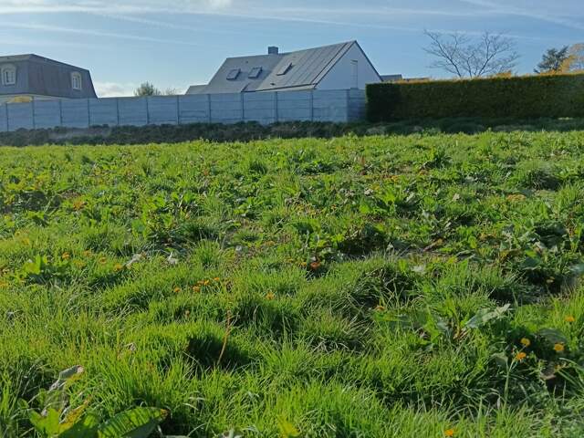 Vente Terrain à bâtir 460 m&sup2; — photo du bien