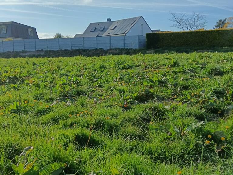 Vente Terrain à bâtir 460 m&sup2; — photo 1