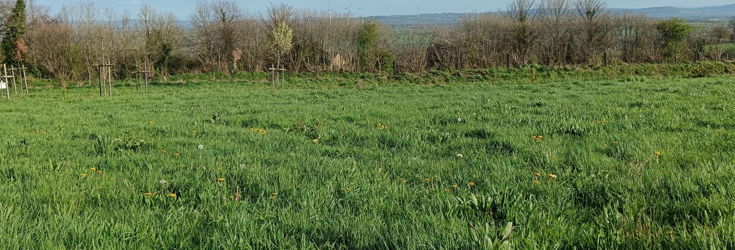 Terrain  539 m² à vendre à Saint-Jean-d'Elle (50810)
