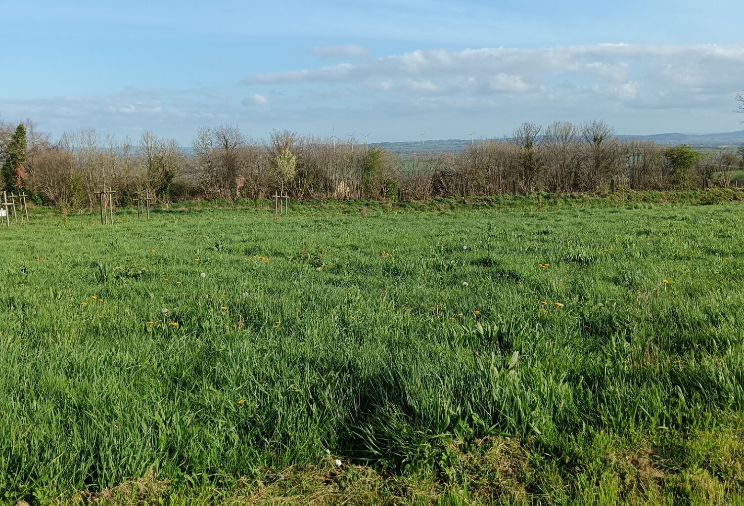 Vente Terrain à bâtir 415 m&sup2; — photo 1