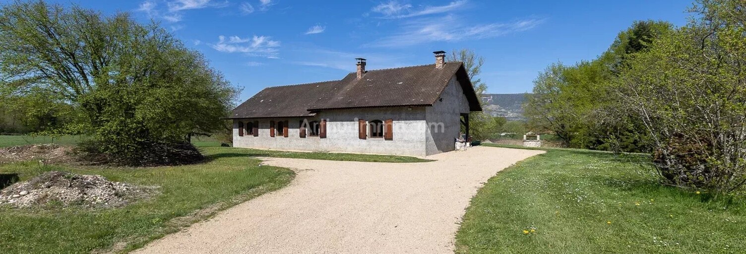 Maison 116 m² en viager Creys-Mépieu (38510)