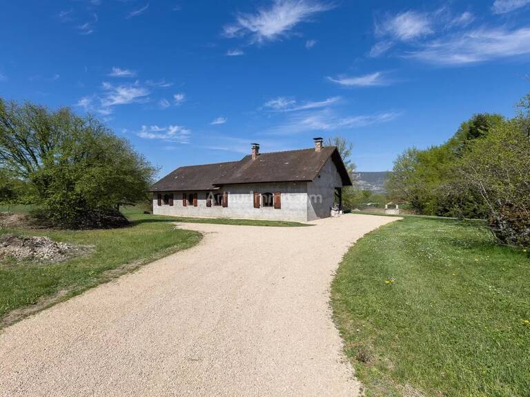 Viager Occupé - Maison de Plain Pied - Creys-Mépieu — photo 1