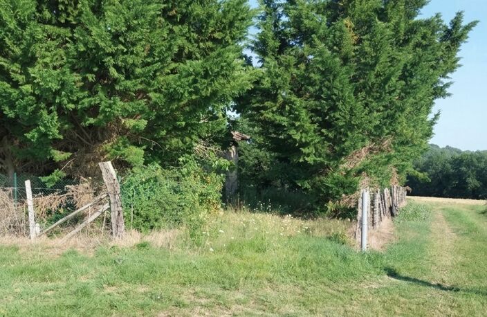 Vente Terrain 3 300 m&sup2; — photo 2