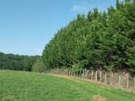 Vente Terrain 3 300 m&sup2; — photo 3