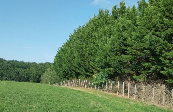 Vente Terrain 3 300 m&sup2; — photo 3