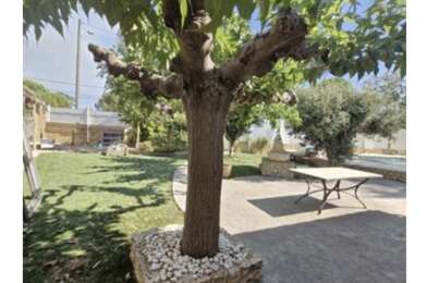 Maison 5 pièces 399000 €