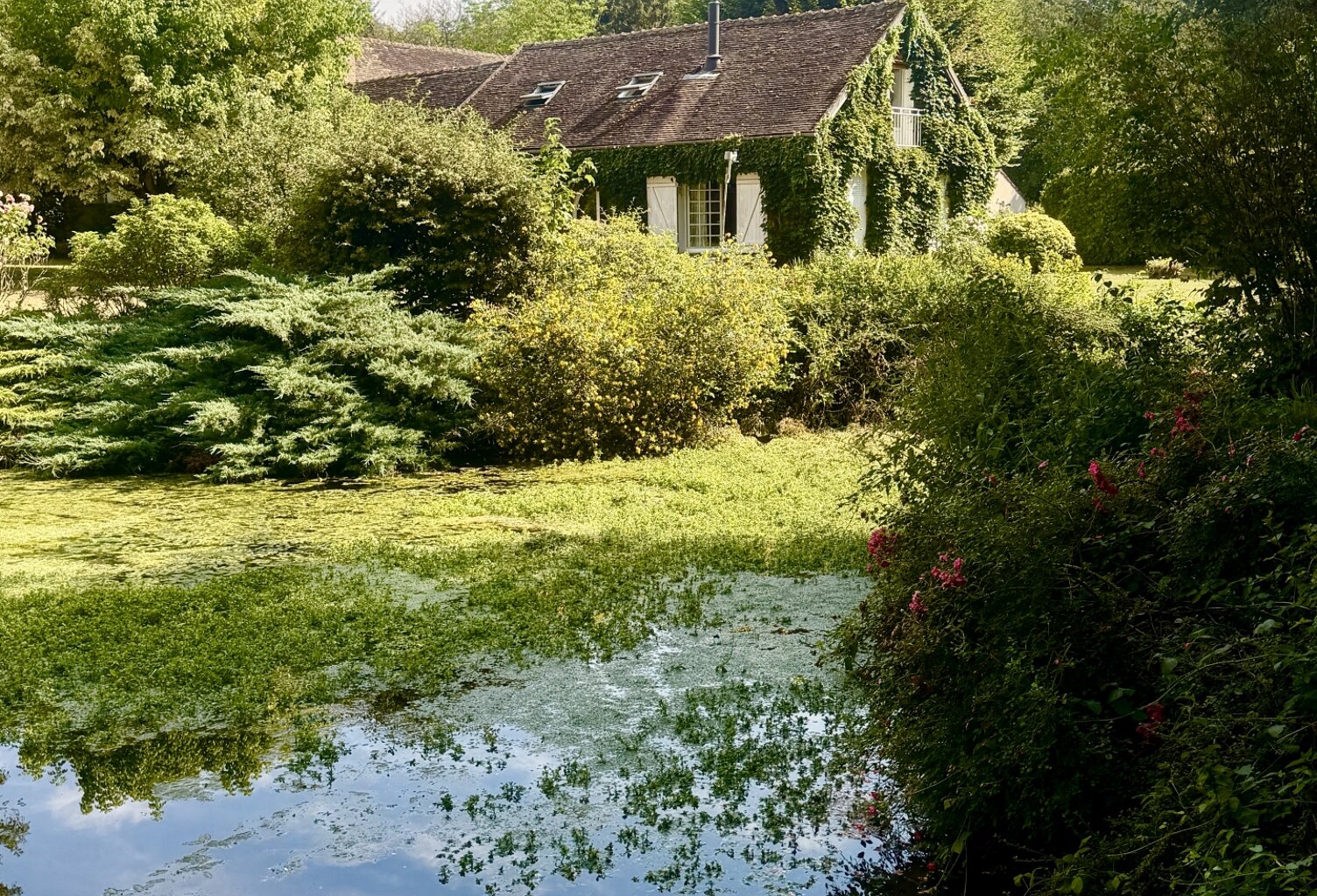 Vente Domaine 11 pièces — photo 1
