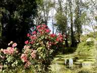 Vente Domaine 11 pièces — photo 4